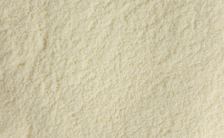 Lactosérum en poudre